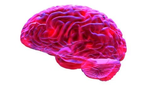 Human brain 3D render Stock Illustration