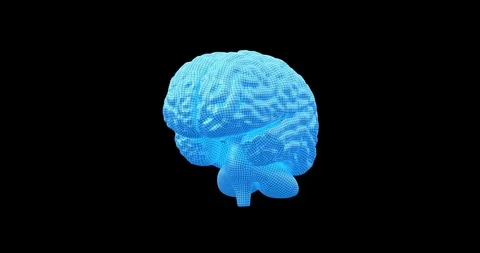 Human Brain 3D, Seamless Loop Video stock 124623679