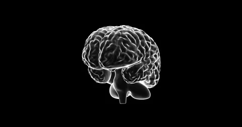 Human Brain 3D, Seamless Loop Video stock 124626977