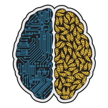 Human brain abstract Stock Illustration