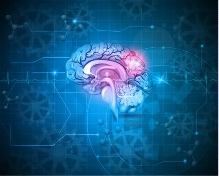 Human brain abstract light blue background Stock Illustration