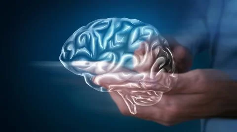 Human brain activity with plexus lines Stock Photos