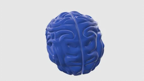 Human Brain, Alpha Channel loop Stock Footage 201251978