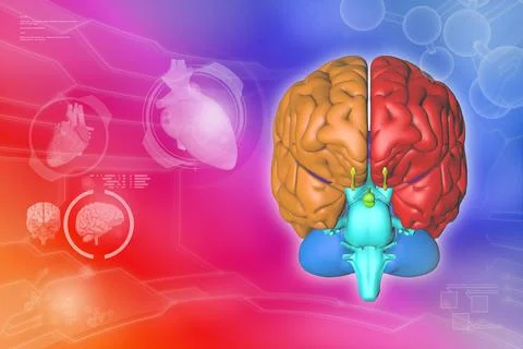 Human brain, alzheimer study concept - detailed modern background Stock Illustration