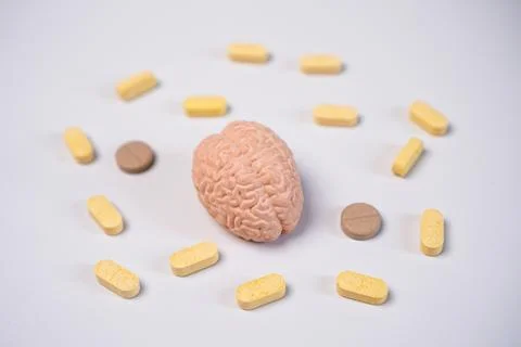 Human brain anatomical model at the center, surrounded by a clean circular .. Stockfoto's