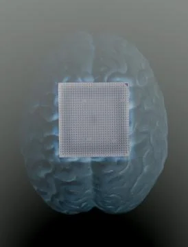 Human brain anatomical model with CPU processor microchip Stock Illustration
