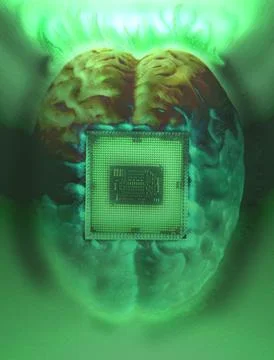 Human brain anatomical model with CPU processor microchip Illustrazione stock