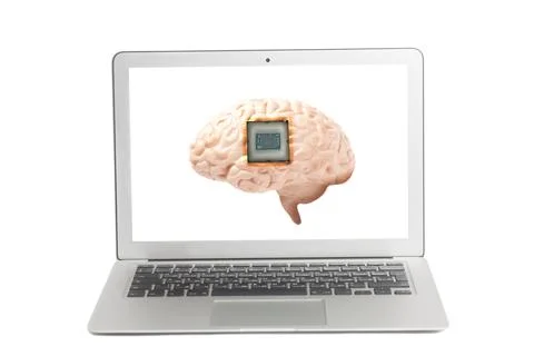 Human brain anatomical model with CPU processor microchip on the laptop monit 스톡 사진