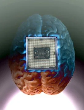 Human brain anatomical model with CPU processor microchip Stock Photos