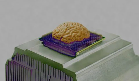 Human brain anatomical model on CPU processor microchip Stock Photos