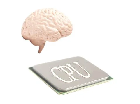Human brain anatomical model with CPU processor microchip isolated on white b Stock Photos