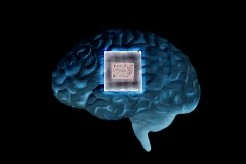 Human brain anatomical model with CPU processor microchip Stock Photos