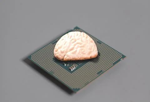 Human brain anatomical model with CPU processor microchip on gray background. Foto stock