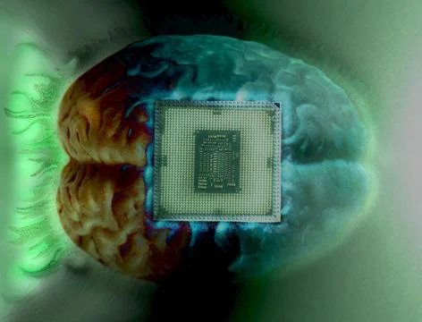 Human brain anatomical model with CPU processor microchip Stock Photos