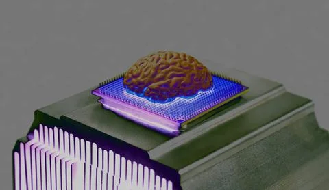 Human brain anatomical model on CPU processor microchip Stock Photos