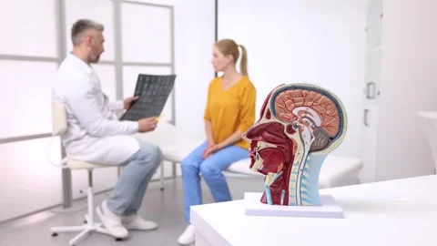 Human brain anatomical model on doctor's table over background doctors analyz Stock Footage 316953236