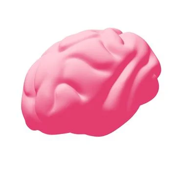 Human brain Anatomical Model Stockillustratie