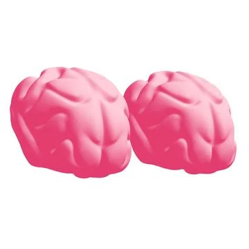 Human brain Anatomical Model. Stockillustratie