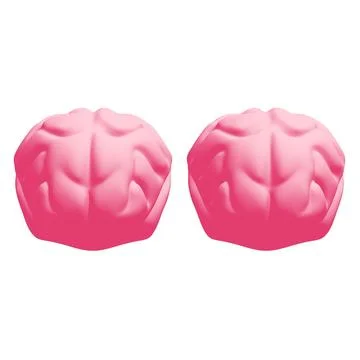 Human brain Anatomical Model. Ilustración de archivo