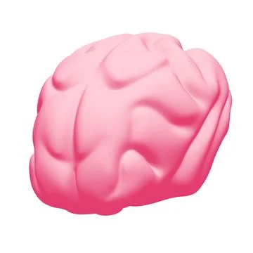 Human brain Anatomical Model. イラスト素材
