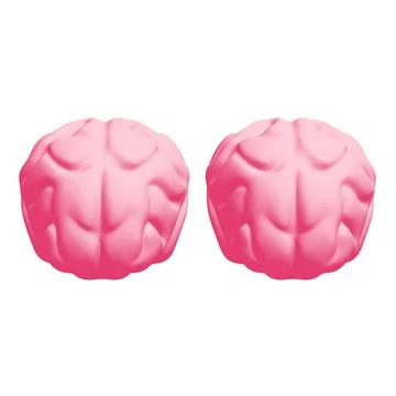 Human brain Anatomical Model. Ilustración de archivo
