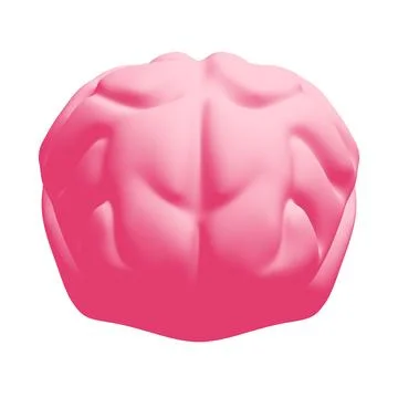 Human brain Anatomical Model. Stock Illustration