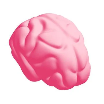 Human brain Anatomical Model. Stock-Illustration