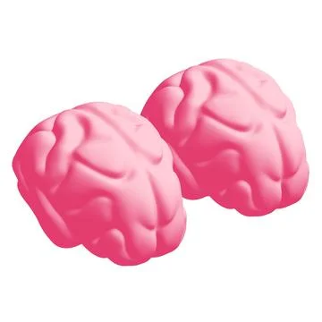 Human brain Anatomical Model. 스톡 일러스트