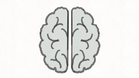Human Brain Anatomy and Thinking Concept Animation Stock Footage 341863532