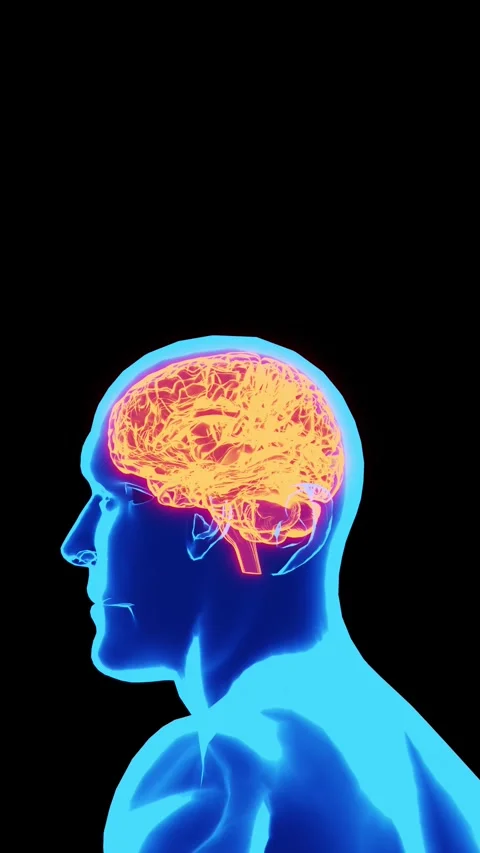 Human Brain Anatomy Visualization with Glowing Neural Activity Medical Animation Stock Footage 341564420