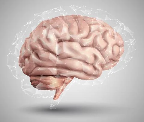 Human brain and abstract design elements. mesh vector Illustrazione stock