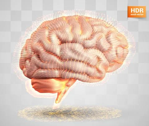 Human brain and abstract design elements. mesh vector Illustrazione stock