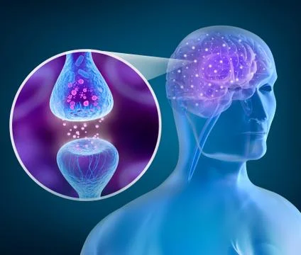 Human brain and Active receptor Illustrazione stock