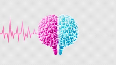 The human brain and brain waves with alpha channel, brain consciousness and.. Stock Footage 308949313