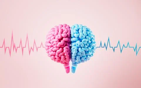 The human brain and brain waves, brain consciousness and thinking, 3d rende.. Stock Photos