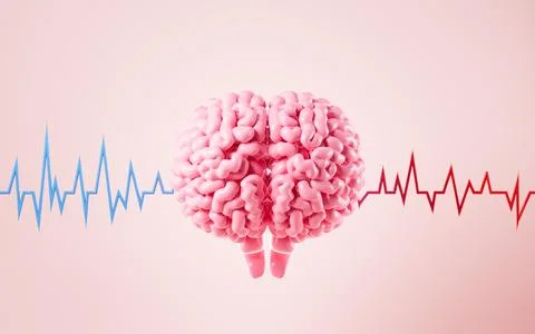 The human brain and brain waves, brain consciousness and thinking, 3d rende.. Stock Photos
