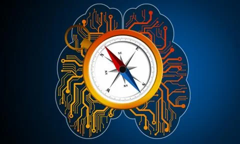 Human brain and compass in blue background Stock Illustration