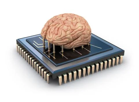 Human brain and computer chip, 3D concept Stock Illustration