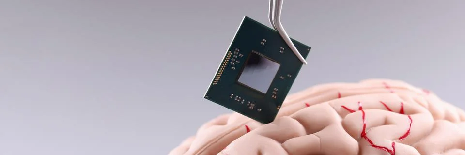 Human brain and computer chip. Microprocessor in head Stock Photos
