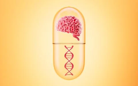 Human brain and DNA, 3d rendering. Stock Photos