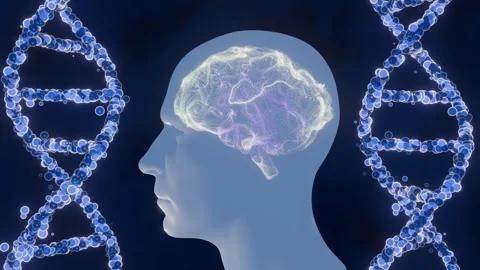 Human brain and DNA helix visualization representing genetic science Stock Footage 341706341