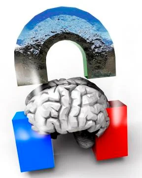 Human Brain and Magnet Stock-Illustration