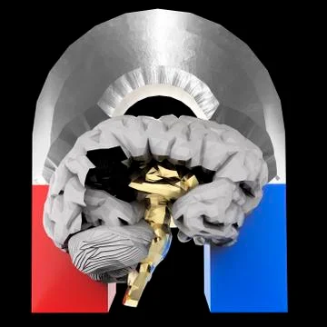 Human Brain and Magnet 库存插图