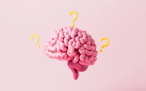 Human brain and marks, questions and creative inspiration concepts, 3d rend.. Stock Photos