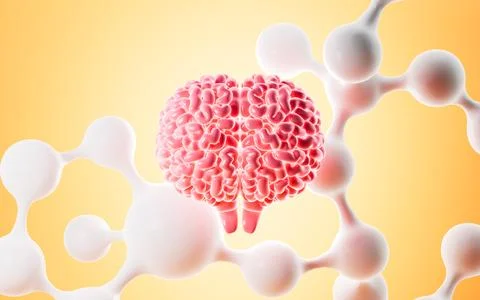 Human brain and molecules, The concept of medical health, 3d rendering. Stock Photos