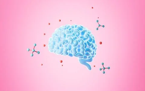 Human brain and molecules, The concept of medical health, 3d rendering. Stock Photos