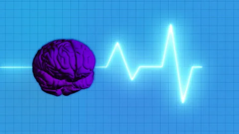 Human Brain and Pulse Wave glowing Vídeos de archivo 279722757