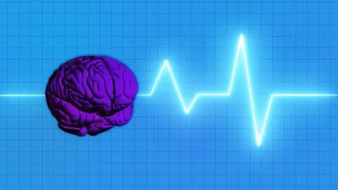 Human Brain and Pulse Wave glowing Ilustración de archivo