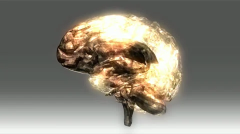 Human brain animation Stock Footage 27653995