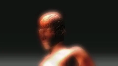 Human brain animation Stock Footage 27658434